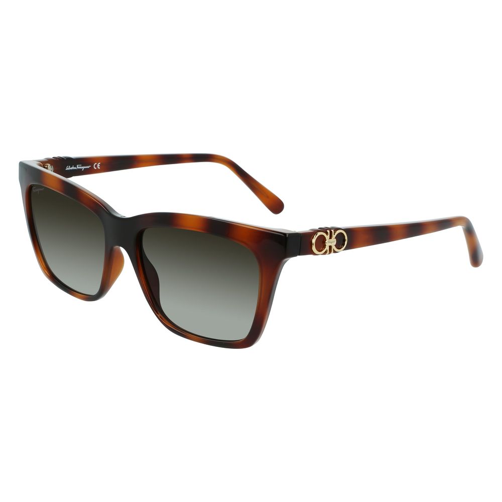 Ferragamo Brown Injected Sunglasses